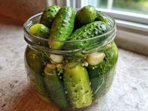 Close-up of fresh cucumbers packed in a glass jar with dill and garlic for making fermented pickles.